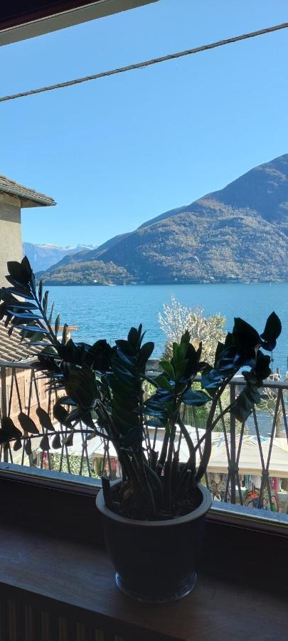 Casa Ida Villa Cannobio Exteriör bild
