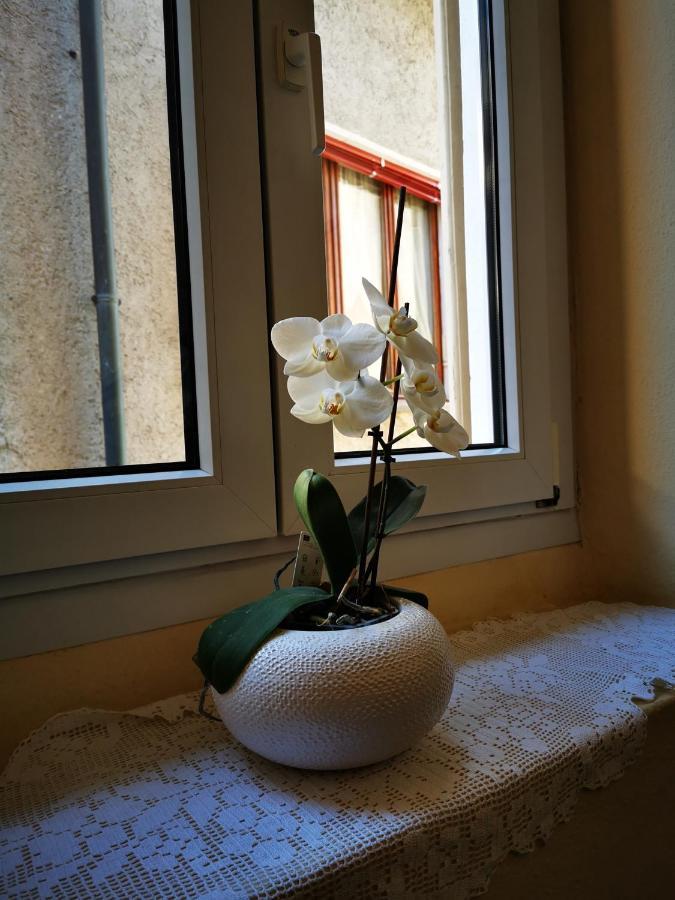 Casa Ida Villa Cannobio Exteriör bild